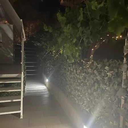 Nascita Di Venere *